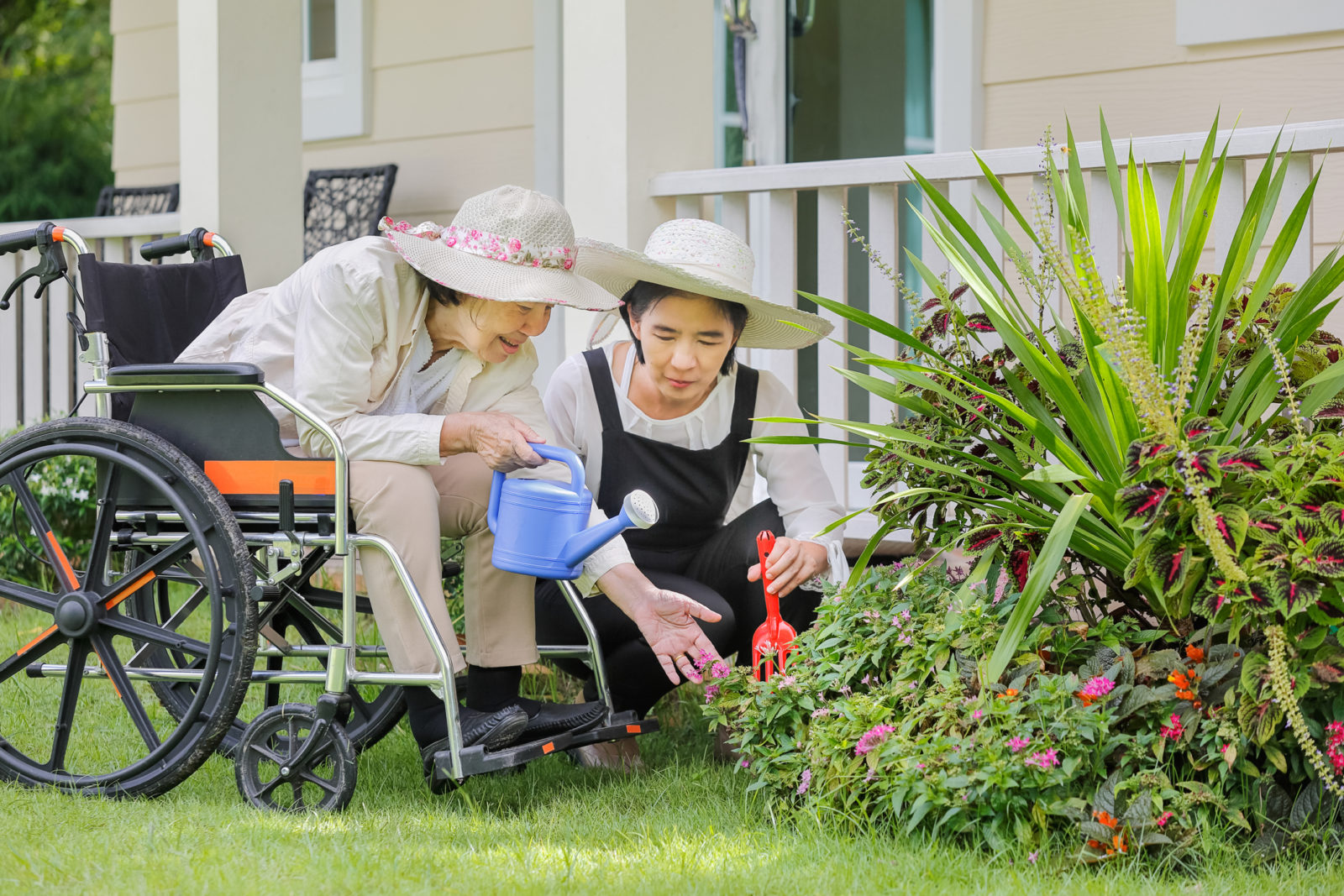 Elderly woman in wheelchair gardening in backyard with daughter